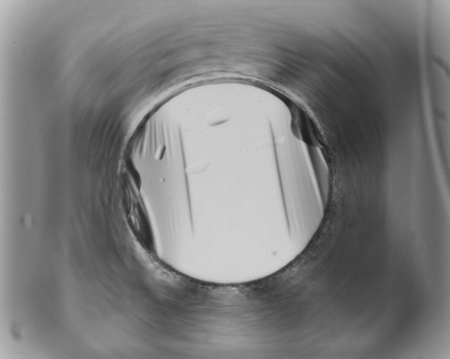 X0000099561524200806131223