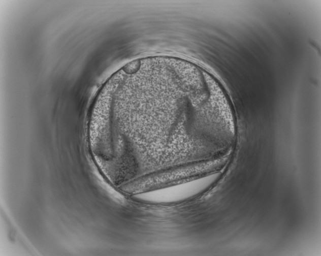 X0000099561525200806131223