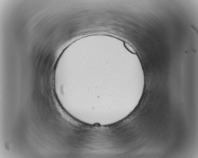 X0000099561526200806131223