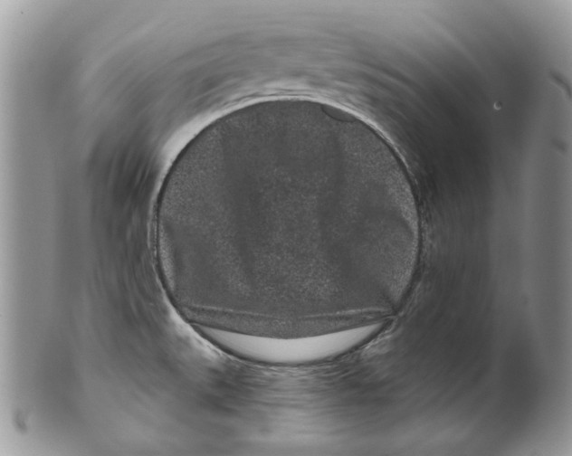 X0000099561527200806131223