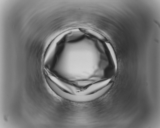 X0000099561528200806131223