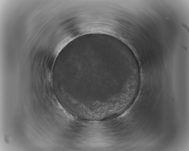 X0000099561529200806131223