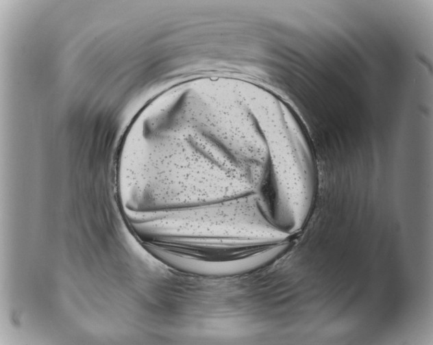 X0000099561531200806131223