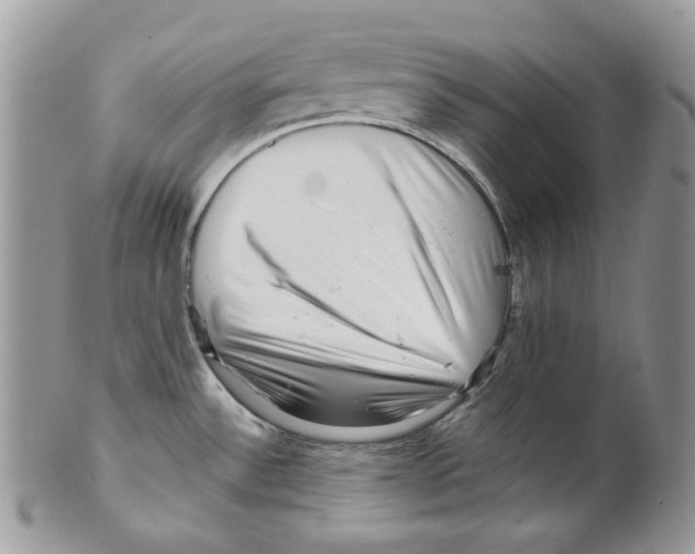 X0000099561532200806131223