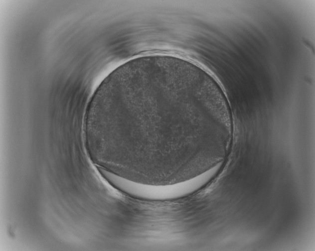 X0000099561533200806131223