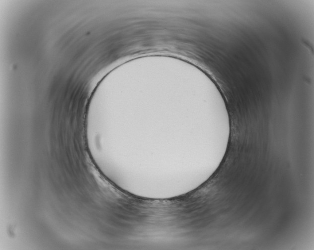 X0000099561534200806131223