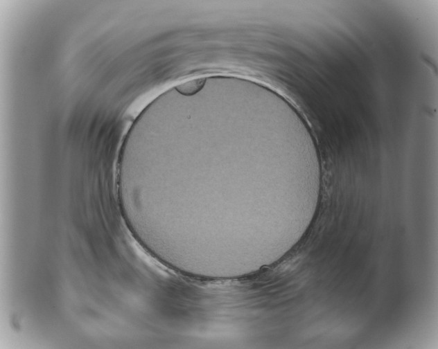 X0000099561535200806131223