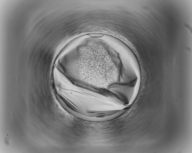 X0000099561536200806131223