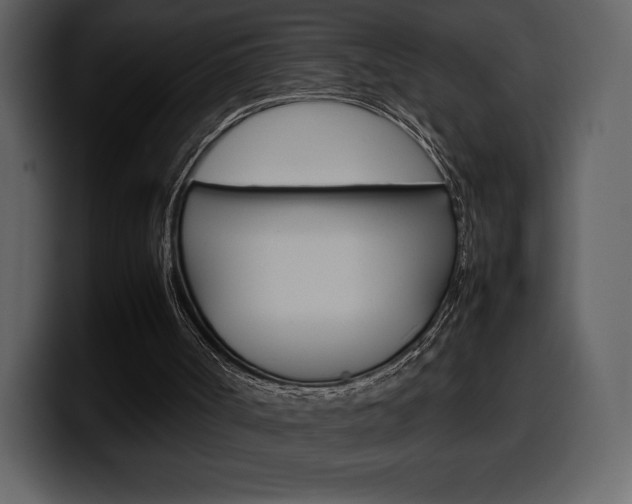 X0000099570002200805160735