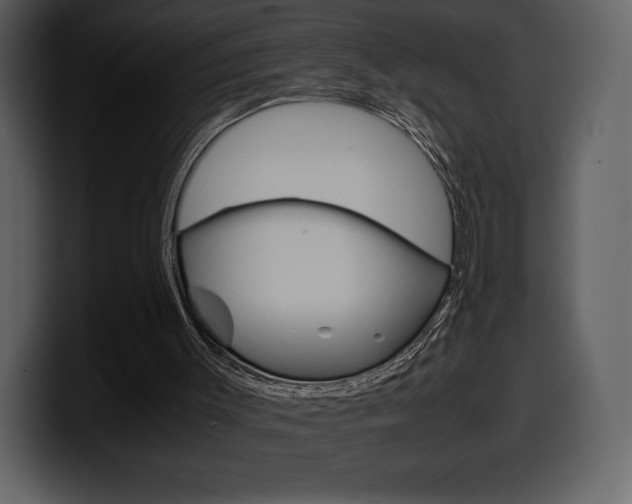 X0000099570003200805160735