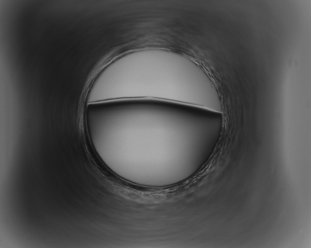 X0000099570004200805160735