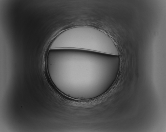 X0000099570005200805160735