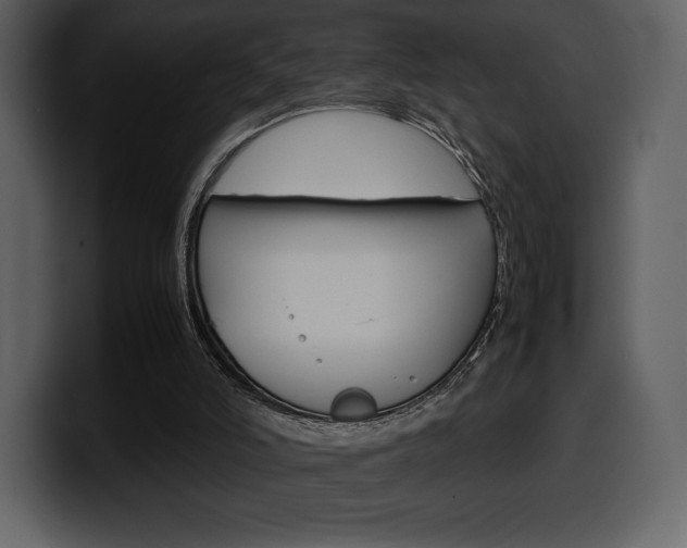 X0000099570006200805160735