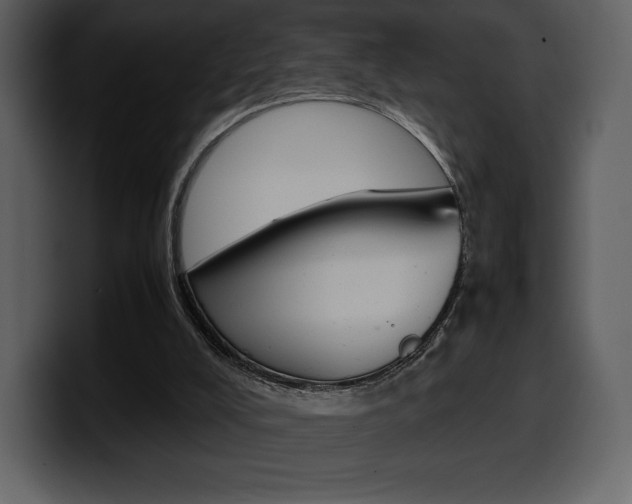X0000099570008200805160735