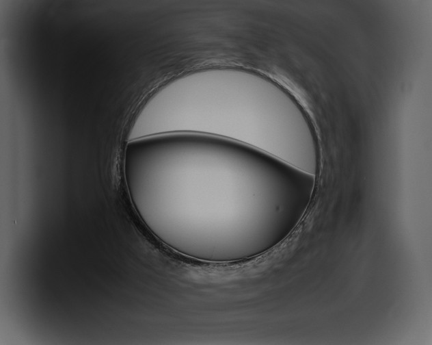 X0000099570009200805160735