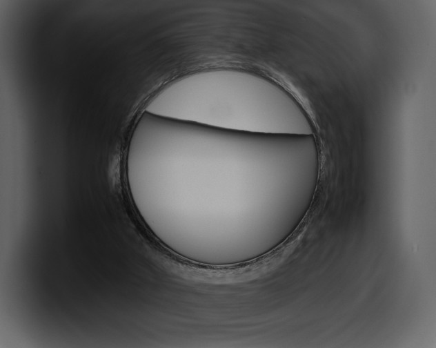 X0000099570010200805160735