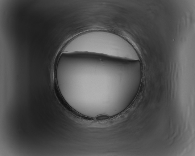 X0000099570011200805160735