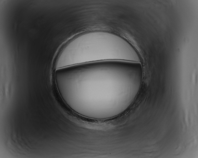 X0000099570012200805160735