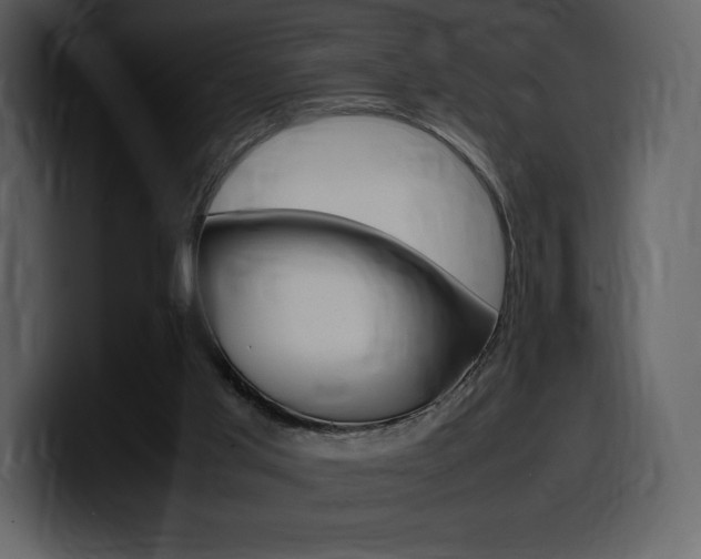 X0000099570013200805160735