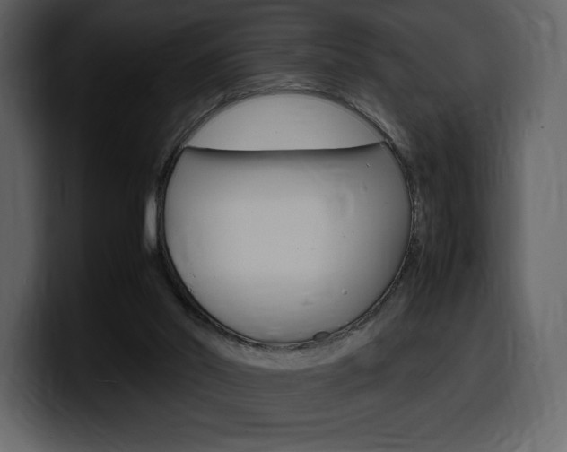 X0000099570014200805160735