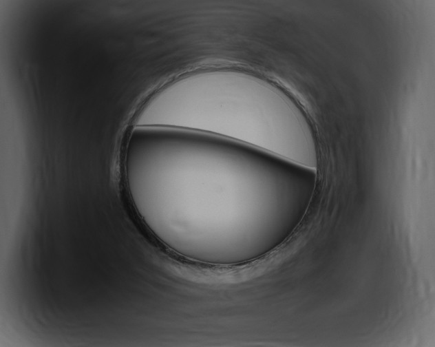 X0000099570015200805160735