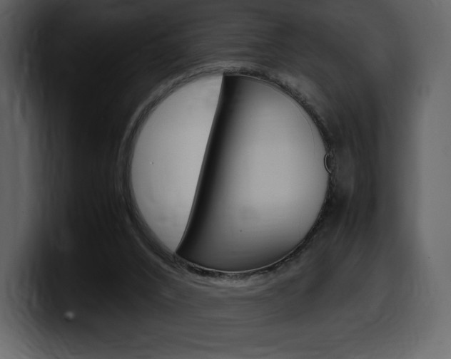X0000099570016200805160735