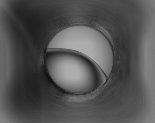 X0000099570017200805160735