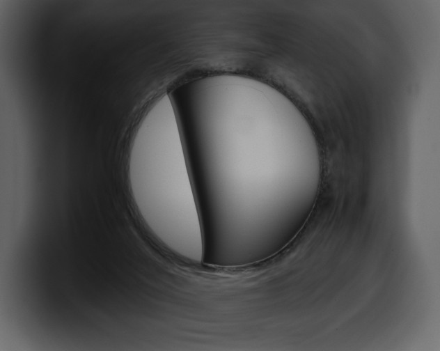 X0000099570020200805160735