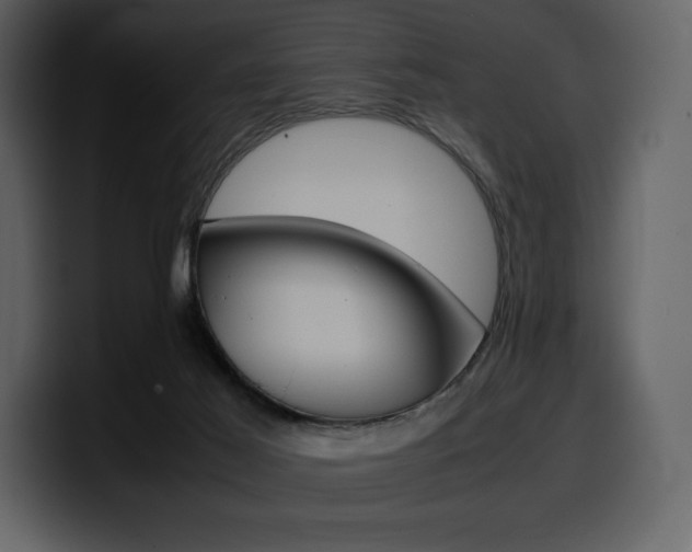 X0000099570021200805160735