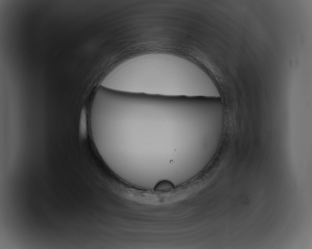 X0000099570022200805160735