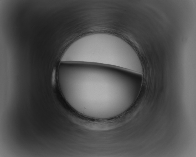 X0000099570024200805160735