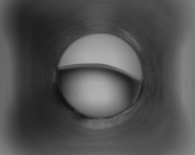 X0000099570025200805160735