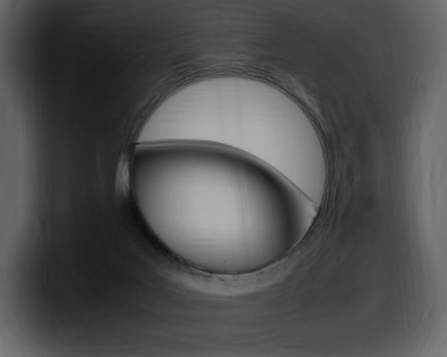 X0000099570027200805160735