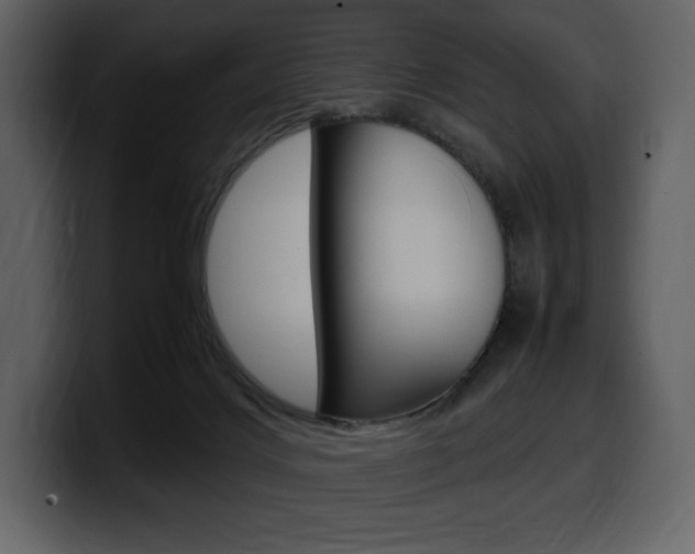 X0000099570028200805160735