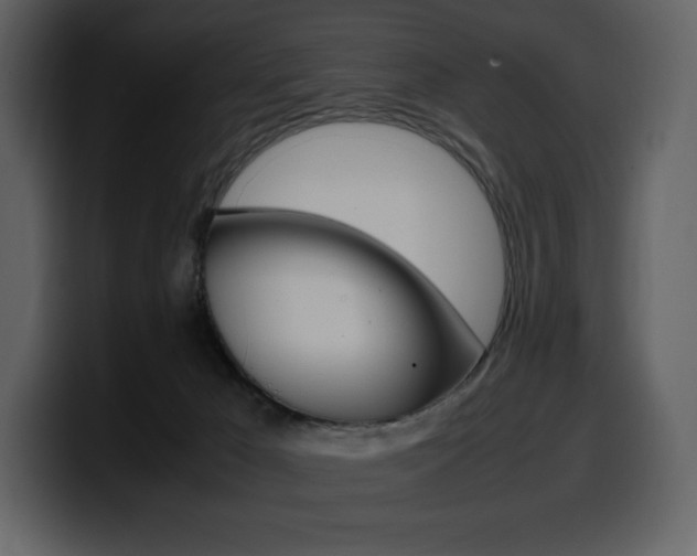 X0000099570029200805160735