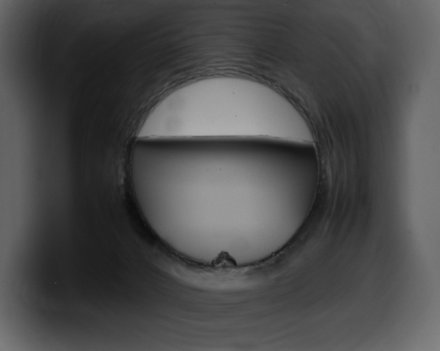 X0000099570032200805160735