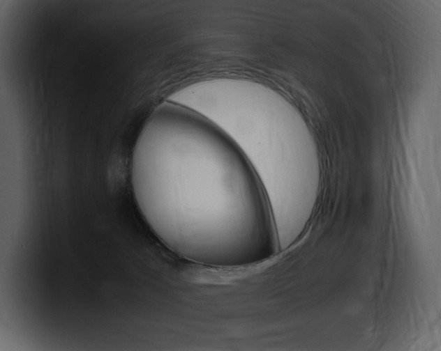 X0000099570033200805160735