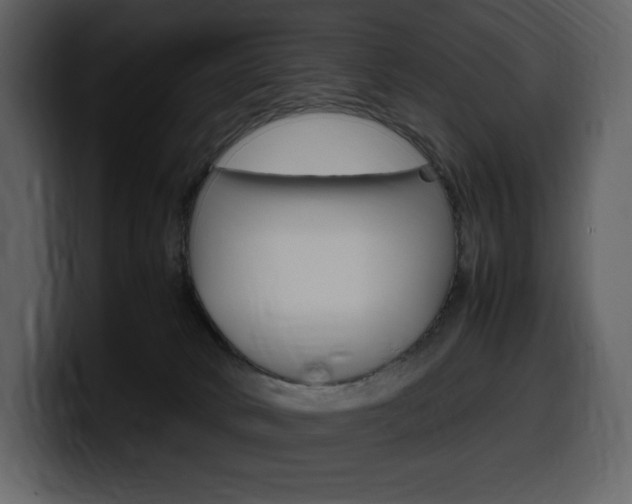 X0000099570034200805160735