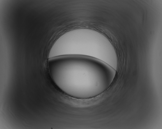 X0000099570035200805160735