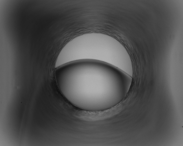 X0000099570037200805160735