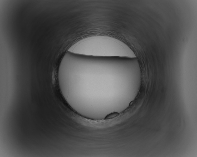 X0000099570038200805160735