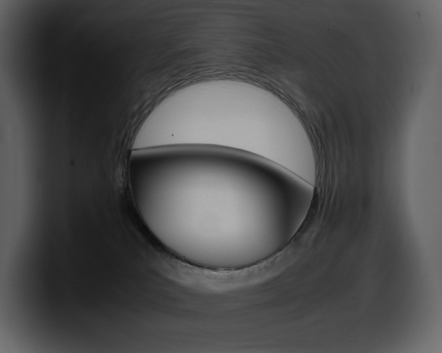 X0000099570039200805160735