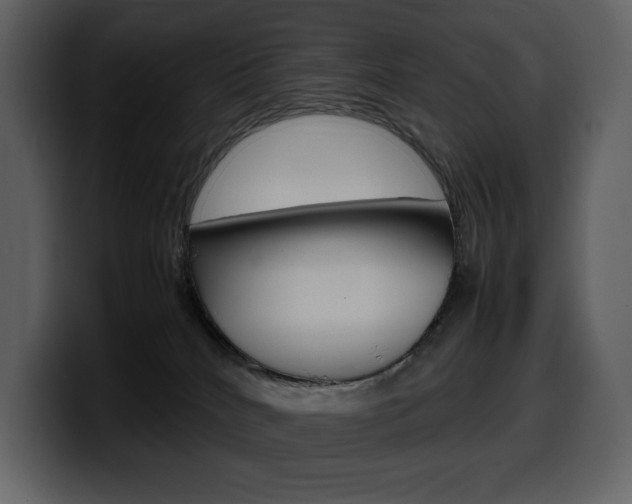 X0000099570040200805160735