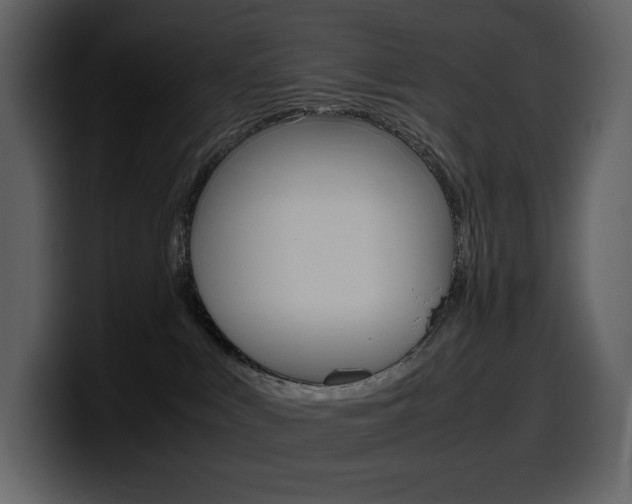 X0000099570043200805160734