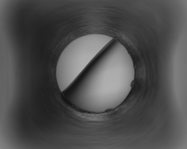 X0000099570044200805160734