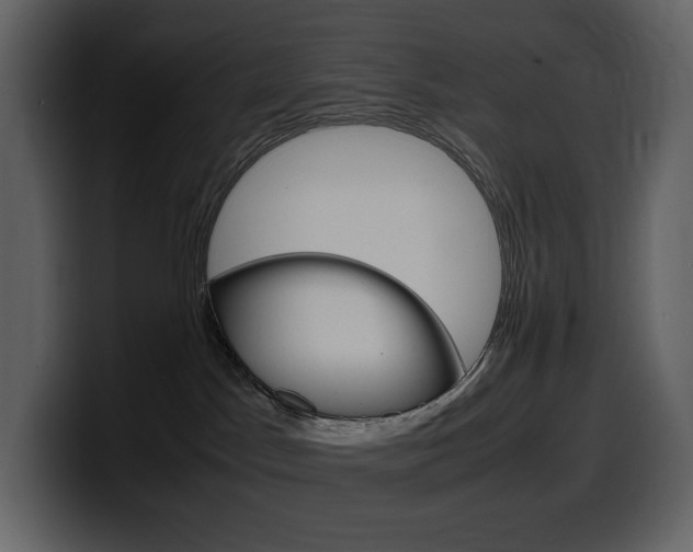 X0000099570045200805160734