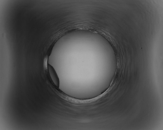 X0000099570047200805160734