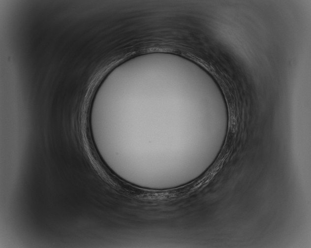 X0000099570049200805160734