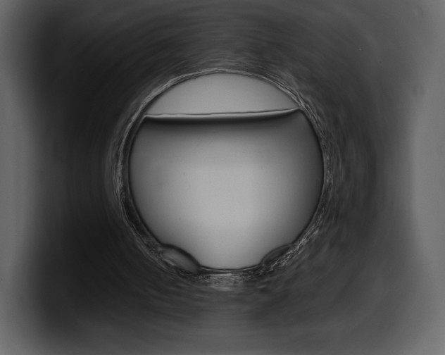 X0000099570050200805160734