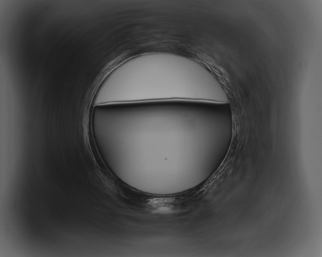 X0000099570051200805160734